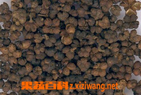 果蔬百科千金子的功效与作用
