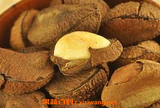巴西坚果的功效与作用