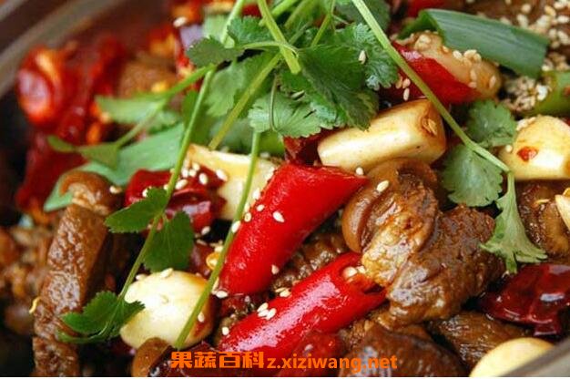 狗肉
