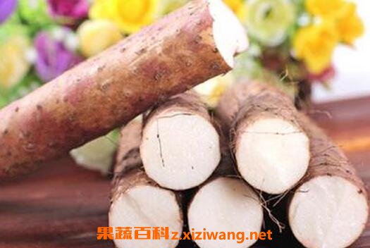 淮山的功效与作用