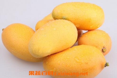 吃芒果会过敏吗