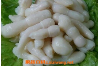 鸡腿菇的功效与作用 吃鸡腿菇的好处