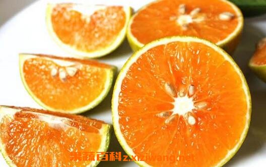 绿橙怎么挑选 挑选绿橙的方法