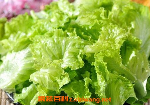 什么蔬菜减肥效果好