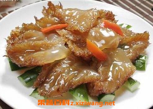 海蜇头的功效与作用