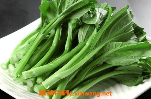 怎么挑选择广东菜心