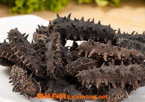 吃海参的好处与坏处