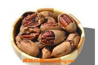 胡桃仁的药用价值与功效