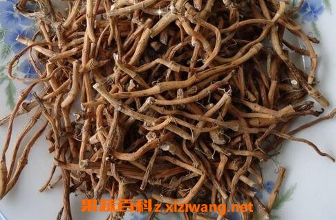 干鱼腥草的功效与作用