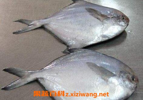 海鲳鱼怎么去腥