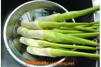 茭白的功效和作用 茭白的做法