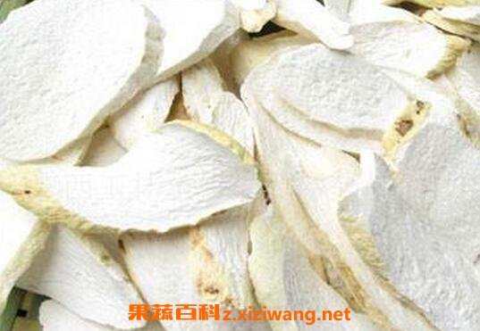 山药的药用功效与作用