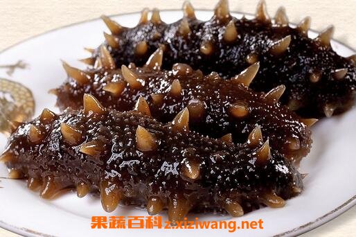 海参的营养价值与功效