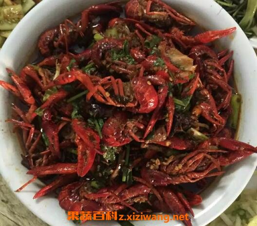 澳洲大龙虾