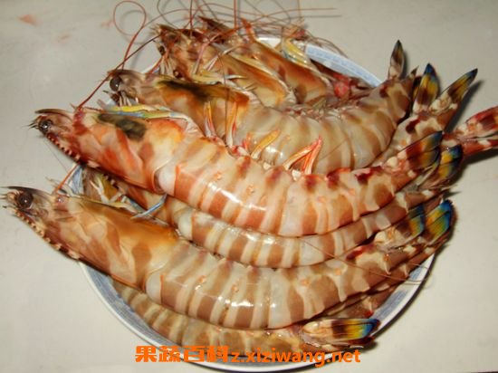 斑节虾
