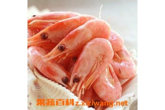 冰虾和甜虾的区别