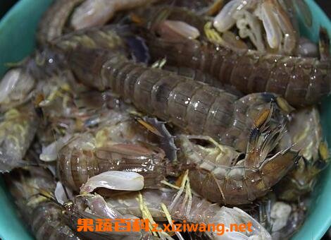 赖尿虾的营养价值与功效