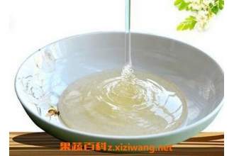 洋槐蜂蜜的功效与作用