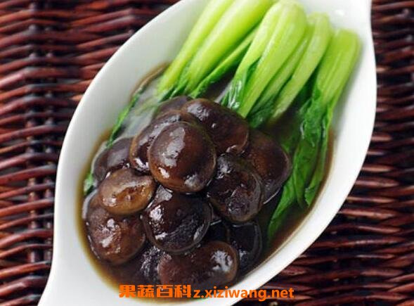香菇