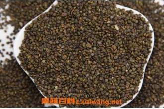 沙苑子的功效作用与用法
