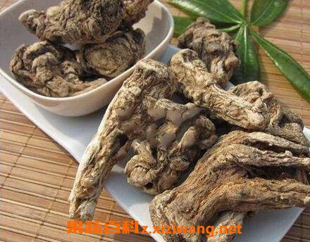当归的食用功效与禁忌