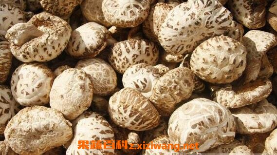 香菇和花菇有什么区别