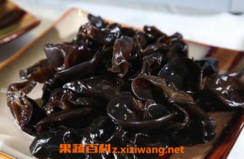 黑木耳的营养价值
