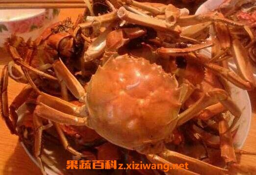 吃螃蟹以后不能吃什么