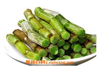 铁皮枫斗的食用方法 铁皮枫斗的食用禁忌