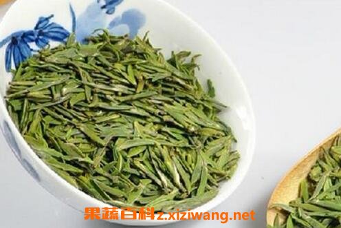 竹叶青茶的功效作用与泡法