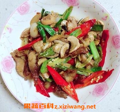 野生双孢菇