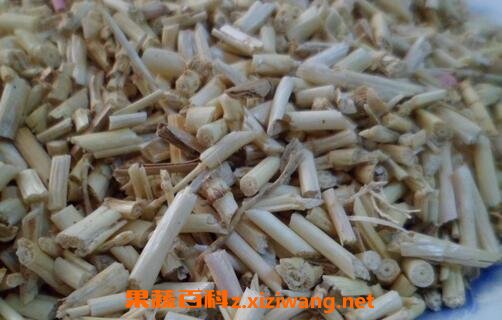 茅根的药用功效与作用