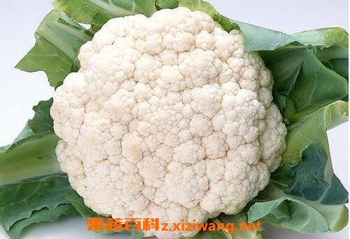 菜花的营养价值及功效