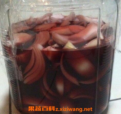洋葱泡红酒