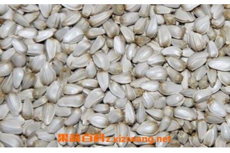 红花籽的功效与作用 红花籽的药用价值