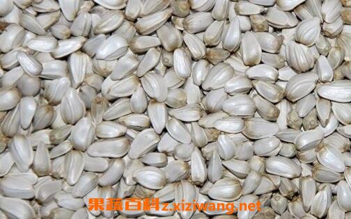 红花籽的功效与作用