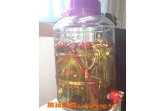 鹿鞭泡酒有什么功效 喝鹿鞭泡酒的好处