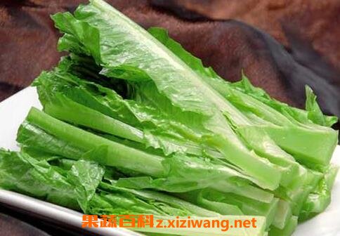 莴苣叶的营养价值