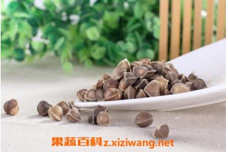 籽壳的功效与作用 籽壳的药用价值