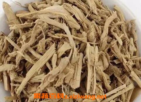 中药薏苡根的功效与作用及禁忌