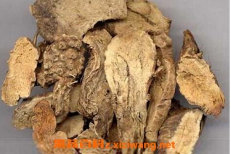 中药山豆根的功效与作用及禁忌