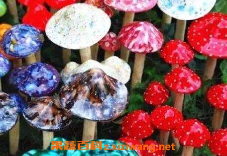 中国十大毒蘑菇