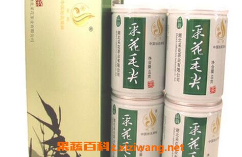 釆花毛尖的冲泡方法
