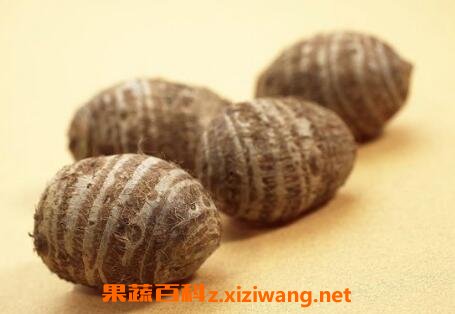 荢头和什么不能一起吃