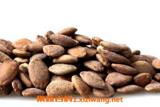 野葫芦籽的功效与作用