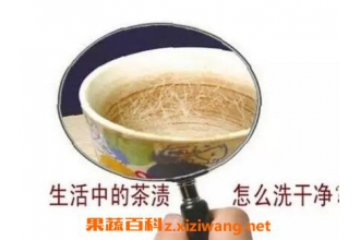 茶渍怎么去除 去茶渍的方法