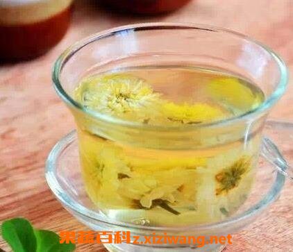中药什么泡水喝对胃好