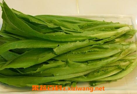 油麦籽的功效和作用