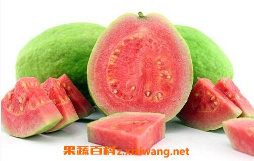 怎么判断芭乐的生熟