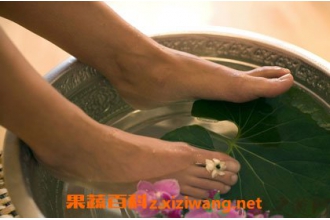 泡藏红花的功效与作用